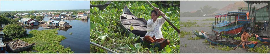 Découvrez les créations d'artisanat en jacinthe d'eau d'Asie du Sud-Est, panier, boîte, corbeille... fabriquées de façon authentique au Cambodge.