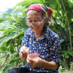 Les traditions des White H'Mong au Vietnam - Frangipanier commerce équitable 16