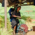 Traditions des costumes des Flower H'mong au Vietnam - commerce équitable