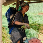 Traditions des costumes des Flower H'mong au Vietnam - commerce équitable