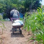 Frangipanier distribution de riz au Cambodge et au Laos pour les artisans des villages - 6