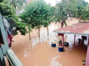 Frangipanier donation riz Laos suite aux inondations automne 2020-5